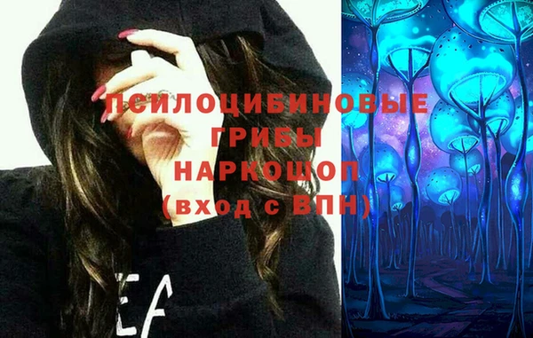 крисы Балахна