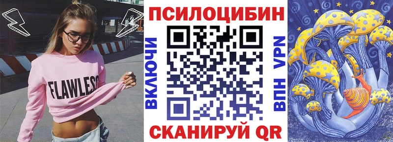 Псилоцибиновые грибы Psilocybe  Макарьев 